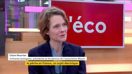 Invitée de Stéphane Dépinoy dans ":l'éco", Claire Nouvian, présidente de l'association Bloom, est venue parler de la pêche électrique et de son nouveau combat dans la création du mouvement "Place Publique".