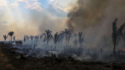 Une zone brûlée dans la forêt amazonienne à Apui (Brésil), le 21 septembre 2022. (MICHAEL DANTAS / AFP)