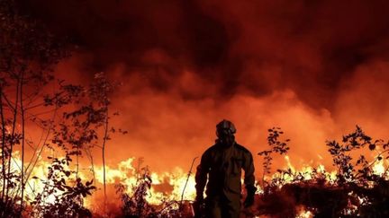 Incendies en Gironde : les pompiers racontent l’enfer des flammes