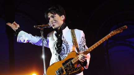 Prince sur scène au Grand Palais, à Paris, le 11 octobre 2009. (BERTRAND GUAY / AFP)