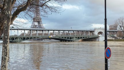 La Seine en crue, à Paris, le 26 janvier 2018.&nbsp; (DENIS MEYER / HANS LUCAS / AFP)