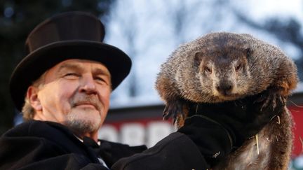 Une marmotte participant à "The Groundhog Day" à Punxsutawney (Pennsylvanie, USA), le 2 février 2017. (DAVID MAXWELL / EPA)