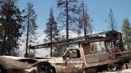 Outre-Atlantique, les flammes ravagent encore les paysages, mardi 26 juillet.&nbsp;La Californie, victime de plus en plus récurrente d'incendies estivaux, a engagé une nouvelle bataille contre les brasiers. (FRANCE 2)