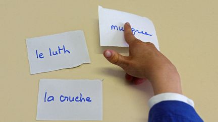 Un enfant autiste s'exerce à lire et parler grâce à une orthophoniste à l'institut médico-éducatif (IME) "Notre école" à Paris. (Photo d'illustration) (JOEL ROBINE / AFP)