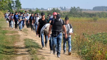 Malgré la fermeture des frontières, les migrants poursuivent leur exode