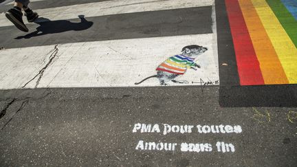 Un slogan en faveur de la&nbsp;procréation médicale assistée pour tous à Paris le 28 juin 2018. (CHRISTOPHE PETIT TESSON / EPA)