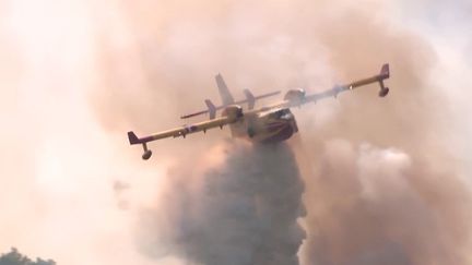 Incendies : la moitié de la flotte de Canadair inutilisable (franceinfo)