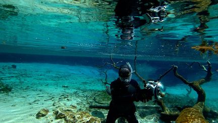 Anglo-libanais vivant à Paris, dentiste de son état est également plongeur et photographe depuis l’âge de 9 ans. Depuis, de voyage en plongée, il a sillonné les quatre coins du globe à la recherche de la biodiversité marine. Sa particularité est de se focaliser «à +ou- 5 mètres» de la surface de la mer, dans cette fine surface où toute la vie se concentre. En 2011, la première version du livre «À +- 5 mètres» est offert aux chefs d'État participant au G20. Une partie des bénéfices des ventes est reversée à une association venant en aide aux sinistrés de Fukushima, au Japon. Aujourd'hui, l'association soutient divers projets, dont celui de la création d'une réserve marine sur la cote Pacifique colombienne, ainsi qu'une étude des populations de requins et de raies dans l'atoll de Rangiroa (Polynésie française). (Joe Bunni)