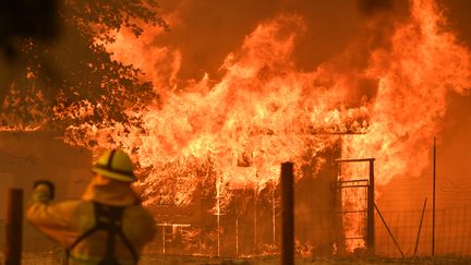 Des incendies en Californie (Etats-Unis), le 30 juillet 2018. (JOSH EDELSON / AFP)