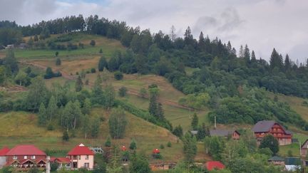 Paysage des Carpates, depuis le village de&nbsp;Slavske, à l'ouest de l'Ukraine, le 1er août 2022. (JULIE PIETRI / RADIO FRANCE)