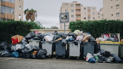 Des poubelles à Ajaccio, en Corse-du-Sud, le 8 décembre 2023. (ALEXANDRA PADOVANI / HANS LUCAS / AFP)