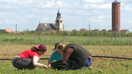 Des habitantes d'Ungersheim, le village alsacien qui s'est mis au vert 
 (M2R Films /Allo ciné)