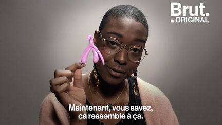 VIDEO. Un antidouleur, un symbole… Cinq choses à savoir sur le clitoris (BRUT)