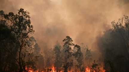 Australie : les feux s'intensifient, les habitants doivent évacuer