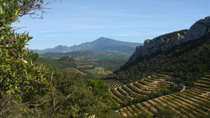 Le mont Ventoux devient, avec la Baie de Somme, un parc naturel régional. (AURÉLIE LAGAIN / FRANCE-BLEU BREIZH IZEL)