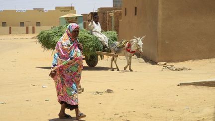 Une femme se promène dans le village du président soudanais déchu Omar el-Béchir, Hosh Bannaga, à quelque 170 kilomètres au nord de Khartoum, la capitale, le 21 avril 2019. (- / AFP)