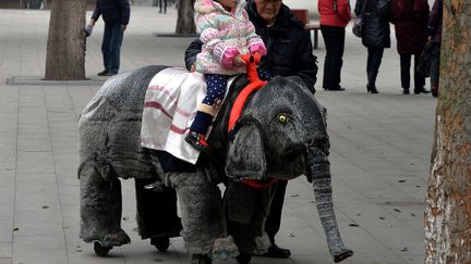 Une petite fille est promen&eacute;e sur un &eacute;l&eacute;phant en peluche articul&eacute; dans un parc de Changqing (Chine), le 21 f&eacute;vrier 2014. (MARK RALSTON / AFP)