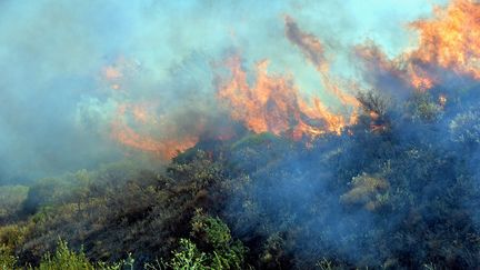 Mort d'un pompier dans l'incendie de Gabian dans l'Hérault : cinq officiers seront jugés en correctionnelle pour "homicide volontaire"