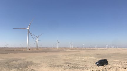 Le parc éolien de Ras Ghareb en Egypte (Engie)