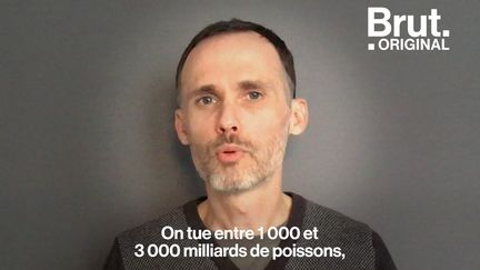 Dans sa bande dessinée, "Les paupières des poissons", Sébastien Moro renverse les clichés sur le manque d’intelligence de certains poissons. L’objectif : démontrer que les poissons sont des animaux comme les autres et alerter sur leur extinction.