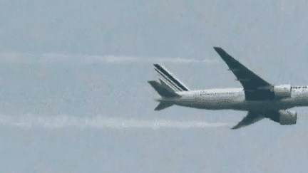 Fontainebleau : un avion d'Air France largue du kérosène au-dessus d'une forêt