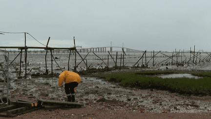 Loire-Atlantique : les tempêtes ont révélé une ancienne décharge (France 2)