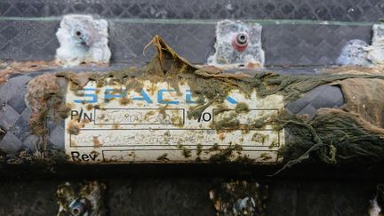 La plaque Space X de la capsule découverte sur l'île de Quéménès dans le Finistère. (DR/Ferme de Quéménès/Île d'Iroise)