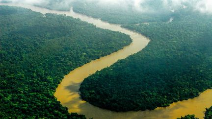 La forêt amazonienne au Brésil, le 22 mai 2020. (MICHEL RENAUDEAU / ONLY WORLD)