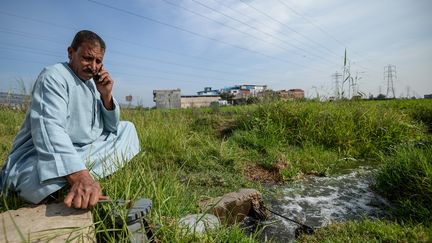 "Nous sommes obligés de puiser dans les eaux souterraines et nous avons cessé de cultiver du riz", une céréale très gourmande en eau, explique Talaat El-Sissi, agriculteur qui cultive depuis plus de 30 ans blé, maïs et autres denrées à Menoufia, dans le sud du Delta. (MOHAMED EL-SHAHED / AFP)