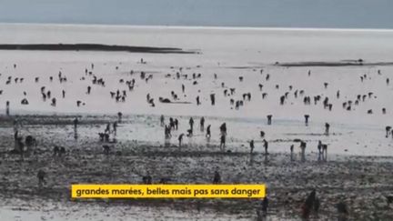 marées en normandie (FRANCEINFO)