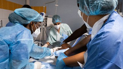 Des soignants s'occupent d'un patient atteint du Covid-19 au CHU de Pointe-à-Pitre, le 3 septembre 2021.&nbsp; (CARLA BERNHARDT / AFP)