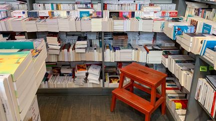 &nbsp;L'interieur de la librairie Le livre ecarlate, Paris 14e (2022). (RICCARDO MILANI / HANS LUCAS)