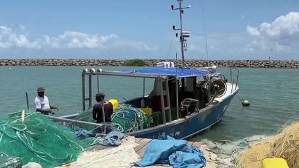 Comme en métropole, le secteur de la pêche tourne au ralenti en Outre-mer, à cause de la pandémie de coronavirus. Confinés, les clients ne sont pas au rendez-vous. (France 3)