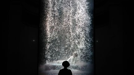 L'Américain Bill Viola, pionnier de l'art vidéo connu pour ses installations monumentales, est mort à 73 ans