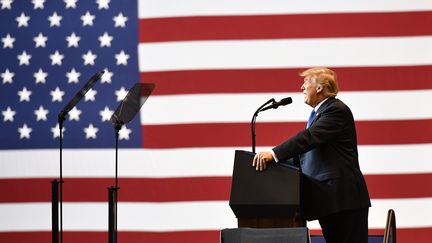 Donald Trump lors d'un meeting à Wilkes-Barre en Pennsylvanie (Etats-Unis), le 2 août 2018.&nbsp; (MANDEL NGAN / AFP)