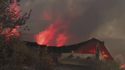 Les incendies continuent de faire rage dans la région de Los Angeles. Plusieurs milliers d'habitants ont dû être évacués au cours de ces dernières heures. Les flammes ont déjà détruit plus d'une centaine de maisons. (France 2)