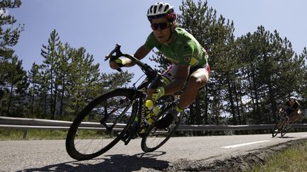 Peter Sagan, en pleine descente.  (KENZO TRIBOUILLARD / AFP)