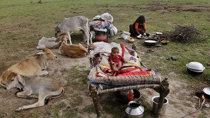 Un jeune Indien se repose pendant que sa m&egrave;re pr&eacute;pare le repas dans un champ &agrave; Bagodara (Inde), le 23 ao&ucirc;t 2012. La s&eacute;cheresse pousse de nombreux &eacute;leveurs &agrave; migrer &agrave; la recherche de p&acirc;turages plus verts. (AJIT SOLANKI / AP / SIPA)