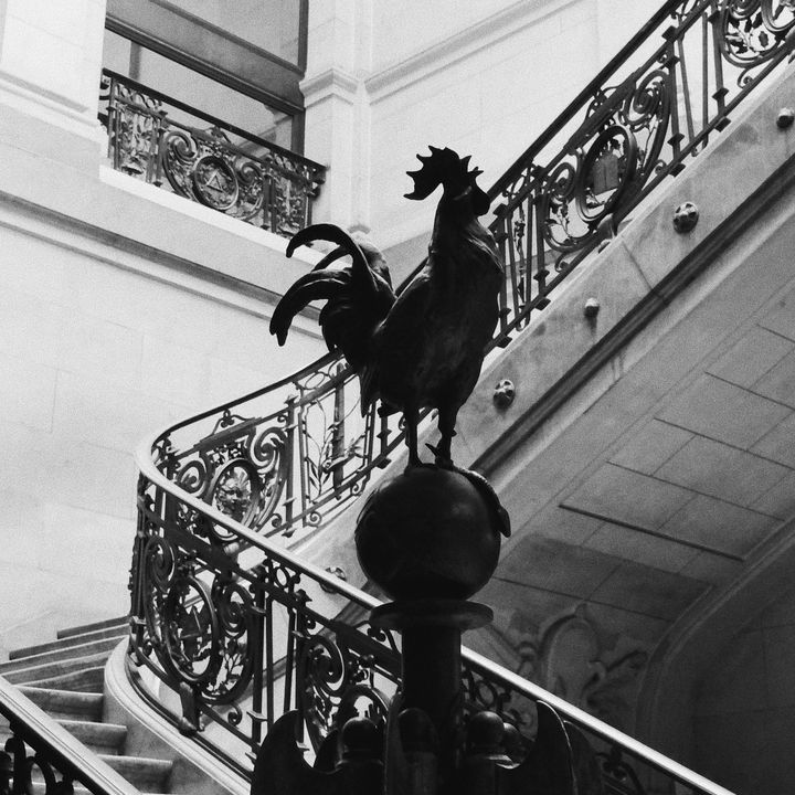 L'escalier menant au vestibule René-Parodi au Palais de Justice de Paris, où se tient le procès des attentats du 13-Novembre. (DAVID FRITZ-GOEPPINGER POUR FRANCEINFO)