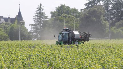 Un épandage pour traiter de la vigne dans une propriété du sud du Médoc, le 3 juin 2015. (COTTEREAU FABIEN / MAXPPP)