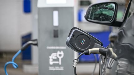 Les ventes de voitures électriques représentent un peu moins de 20% du marché automobile. (JEAN-LUC FLÉMAL / MAXPPP)