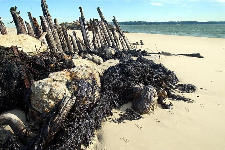 Des filets de pêcheurs englués par des nappes d'hydrocarbures en provenance des cuves de l'épave du "Prestige", le 4 janvier 2003, sur la plage de la pointe du Cap Ferret (Gironde).&nbsp; (DERRICK CEYRAC / AFP)