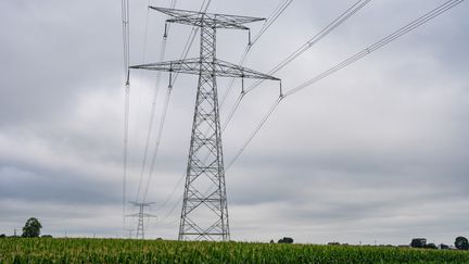 Les tarifs de l'électricité vont grimper de 10% au 1er août prochain. (JEAN-MARC BARRERE / HANS LUCAS)