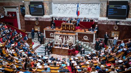 L'Assemblée nationale, le 19 juillet 2022, à Paris. (XOSE BOUZAS / HANS LUCAS / AFP)