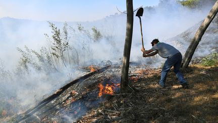 Bormes-les-Mimosas : l'incendie toujours pas maîtrisé