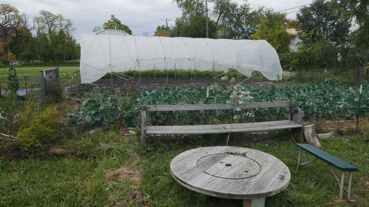 Une ferme urbaine dans le quartier de Core City. On en trouve beaucoup autour de Détroit. (Photo Emmanuel Langlois)