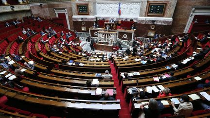 L'h&eacute;micycle de l'Assembl&eacute;e nationale, le 16 juillet 2012. (PIERRE VERDY / AFP)