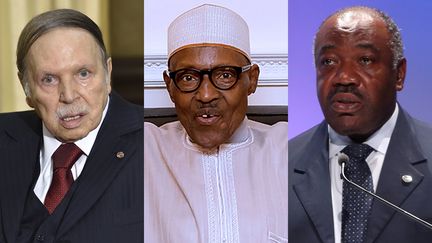 Les présidents Abdelaziz Bouteflika (Algérie) (G) et Muhammadu Buhari (Nigeria) (C), se sont récemment fait soigner à l'étranger. Quant à Ali Bongo (Gabon) (D), il poursuit sa convalescence au Maroc.&nbsp;&nbsp; (ERIC FEFERBERG, BAYO OMOBORIOWO, CHRIS JACKSON / AFP)