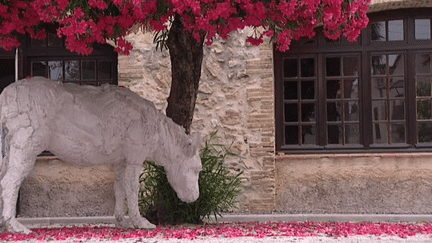 Le sculpteur italien Davide Rivala a investit la vieille ville d'Antibes avec son bestiaire insolite.
 (Culturebox / Capture d&#039;écran)