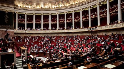 &nbsp; (Les députés ont adopté le projet par 270 voix, contre 245 et 51 abstentions. © Maxppp)